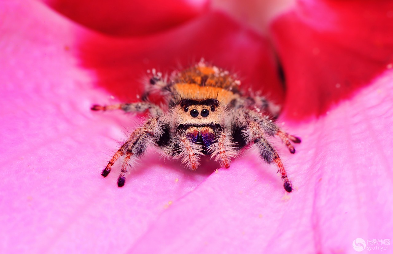 DSC_8204.JPG