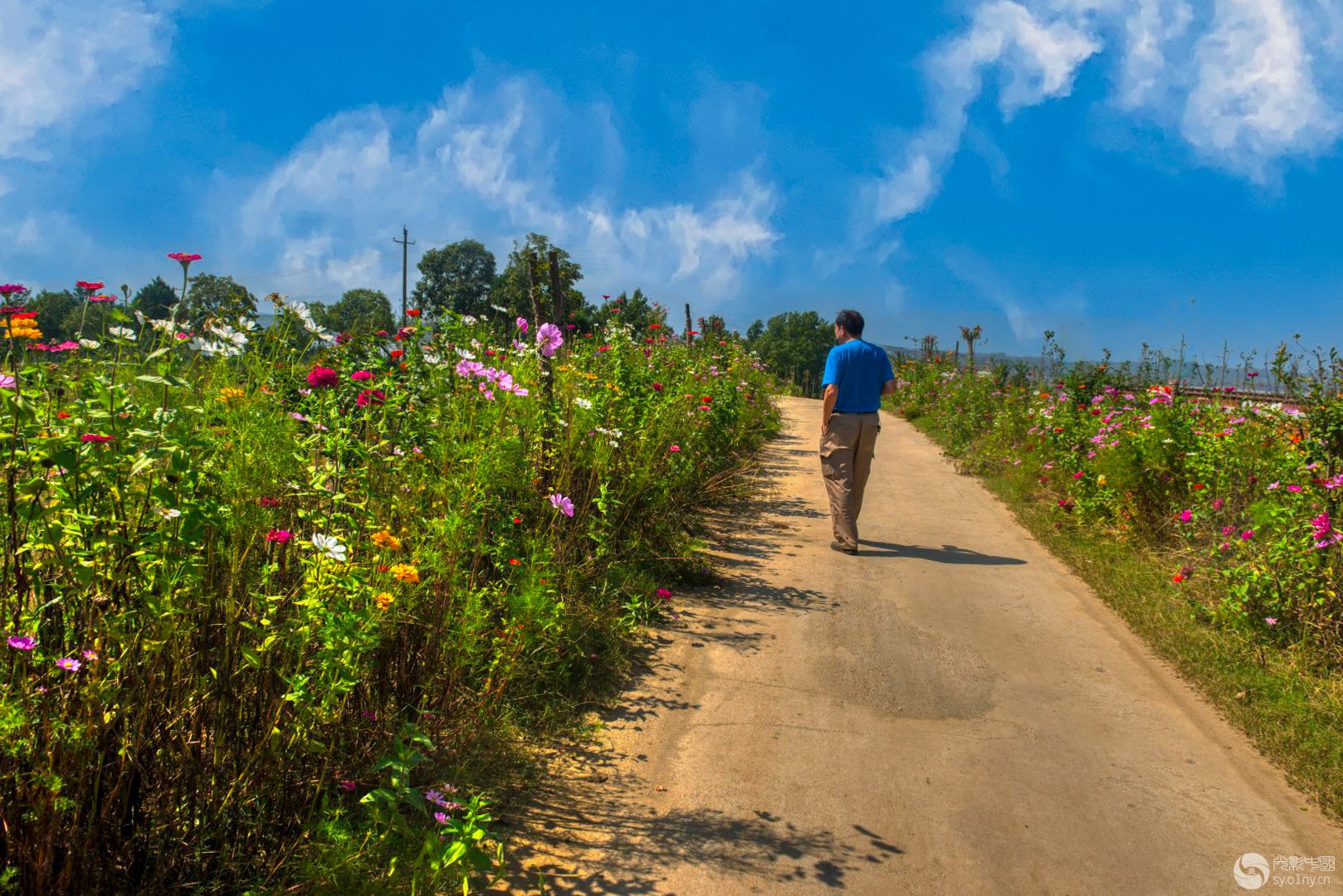 _DSC2896(0)_2.jpg