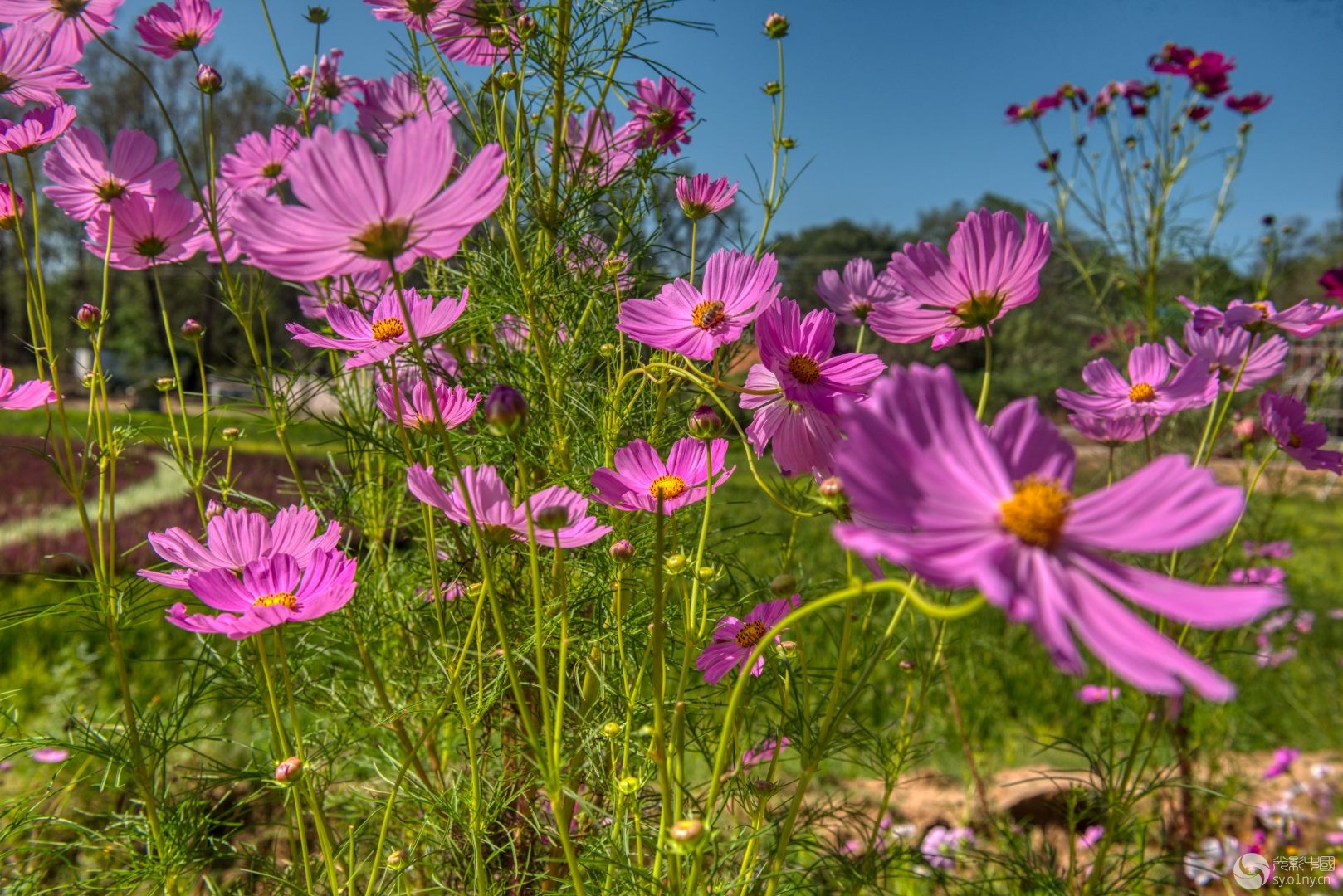 _DSC3069_36.jpg