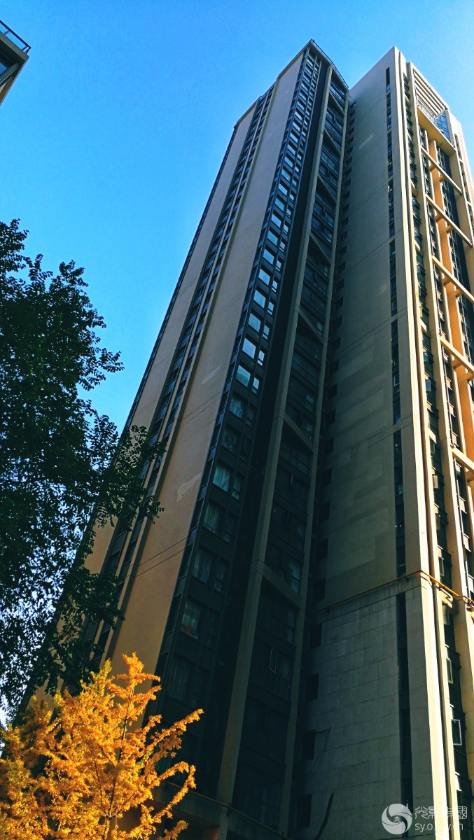 IMG_20211030_082306-01.jpeg