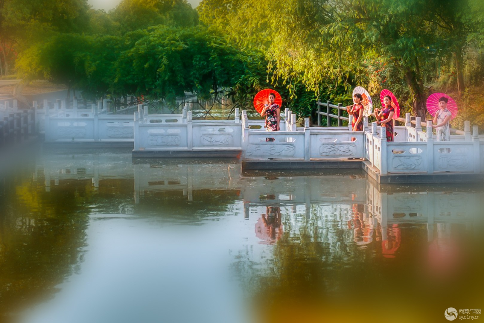 f1----_DSC3978_526.jpg