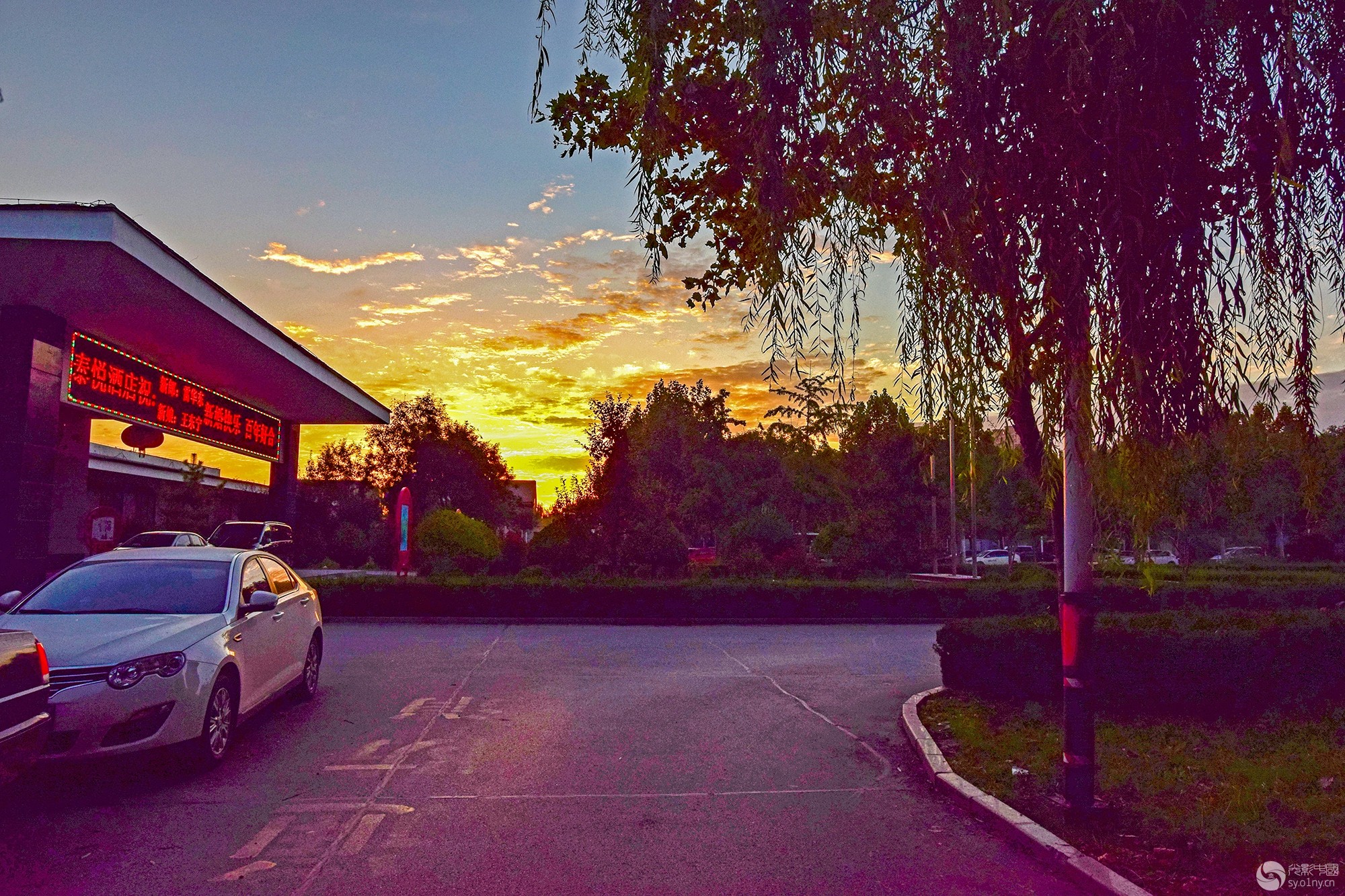 DSC_0115.jpg