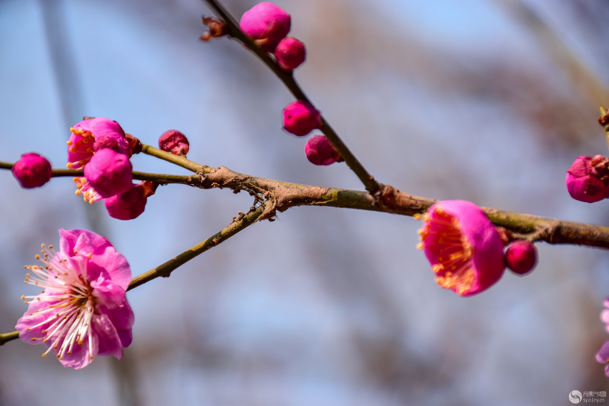 DSC_0075.jpg