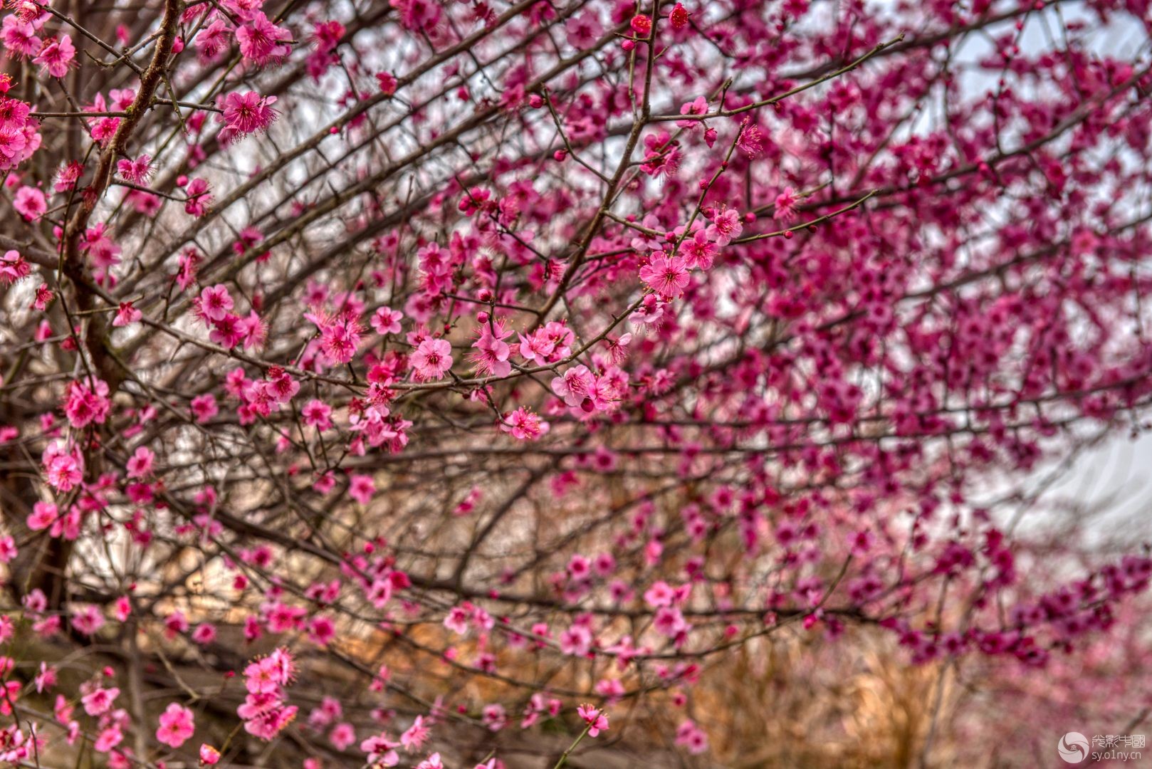 _DSC6832_39.jpg