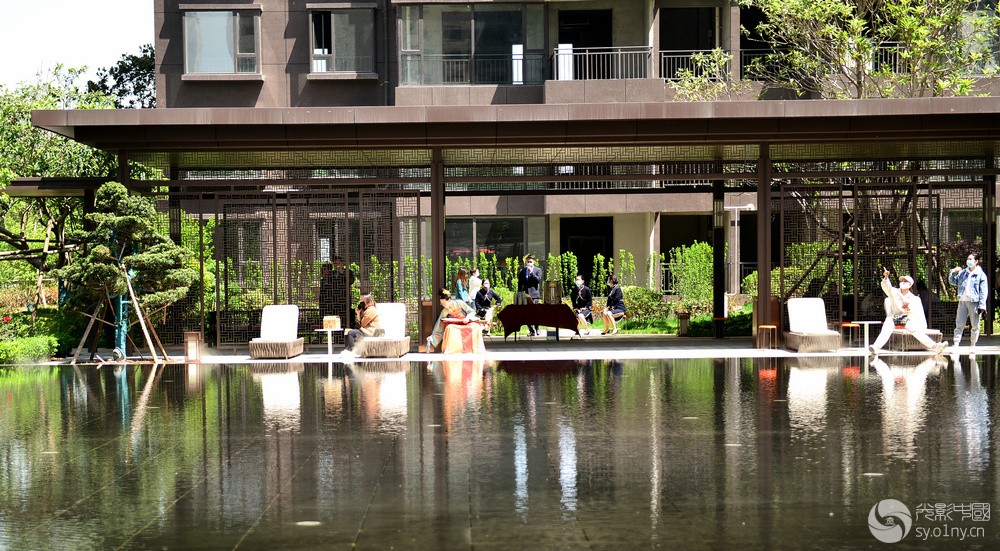 DSC_1365.jpg
