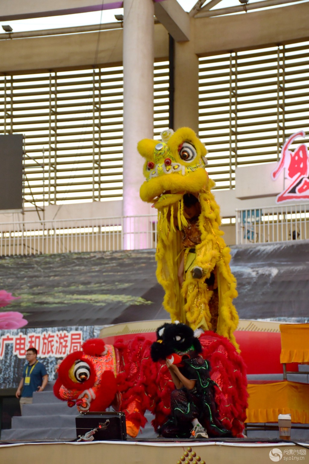 DSC_0260.JPG