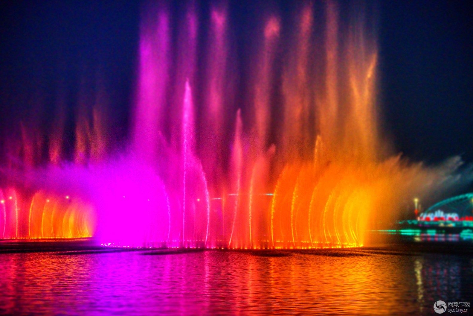 _DSC0964_184_.jpg