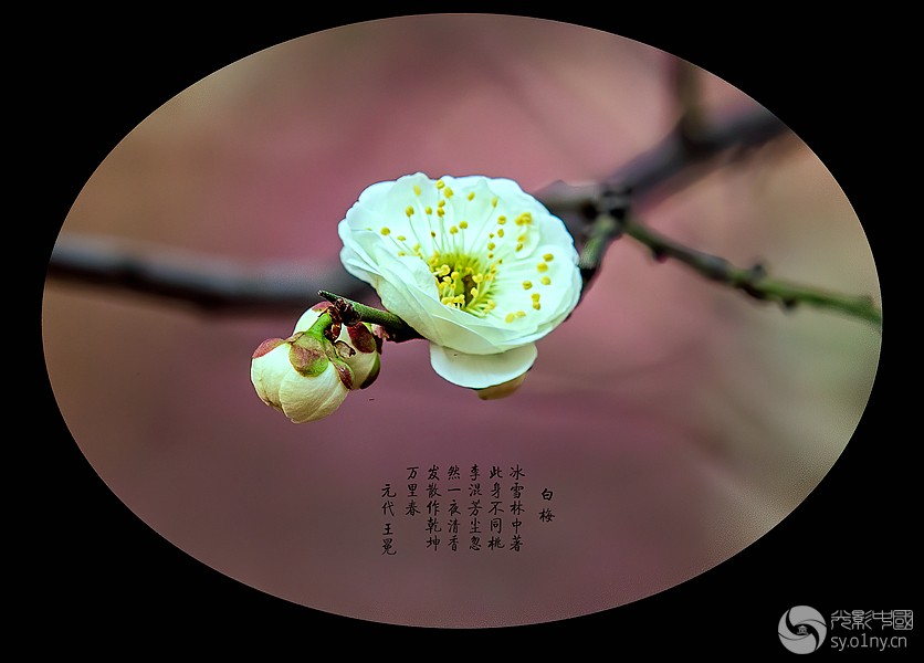2A4A5852_.jpg