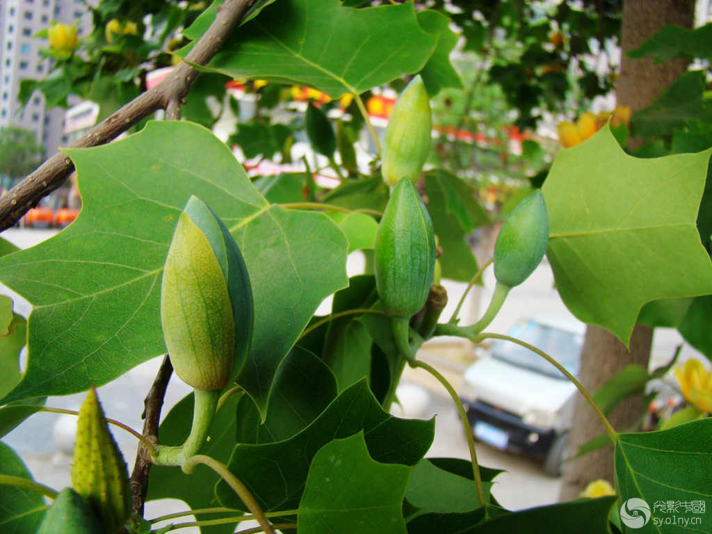 DSC02067_.jpg
