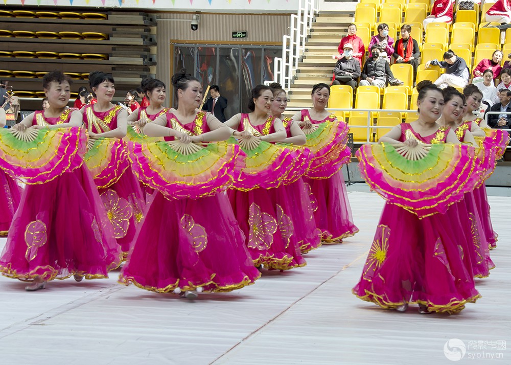 DSC_3113---x.jpg