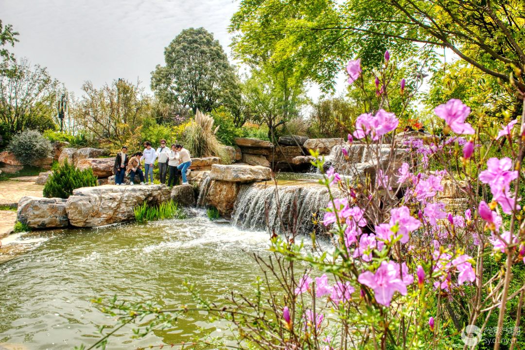 _DSC3730_241_.jpg