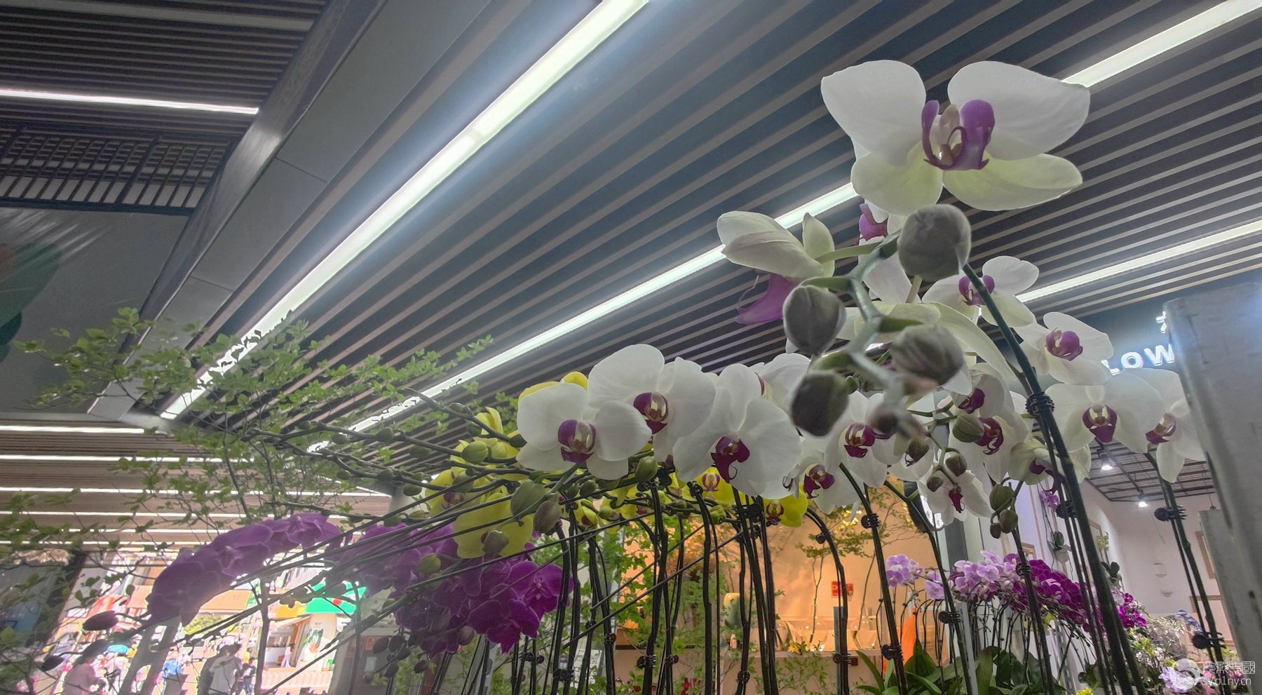 IMG_20230911_130233_副本_副本.jpg