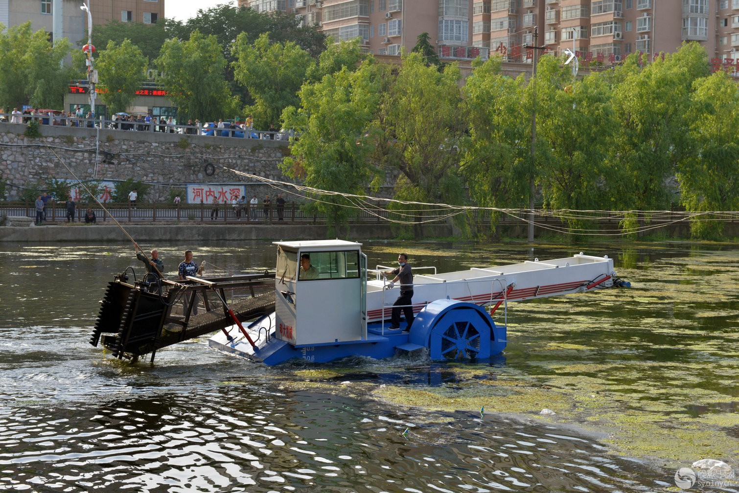 DSC_5670_.jpg