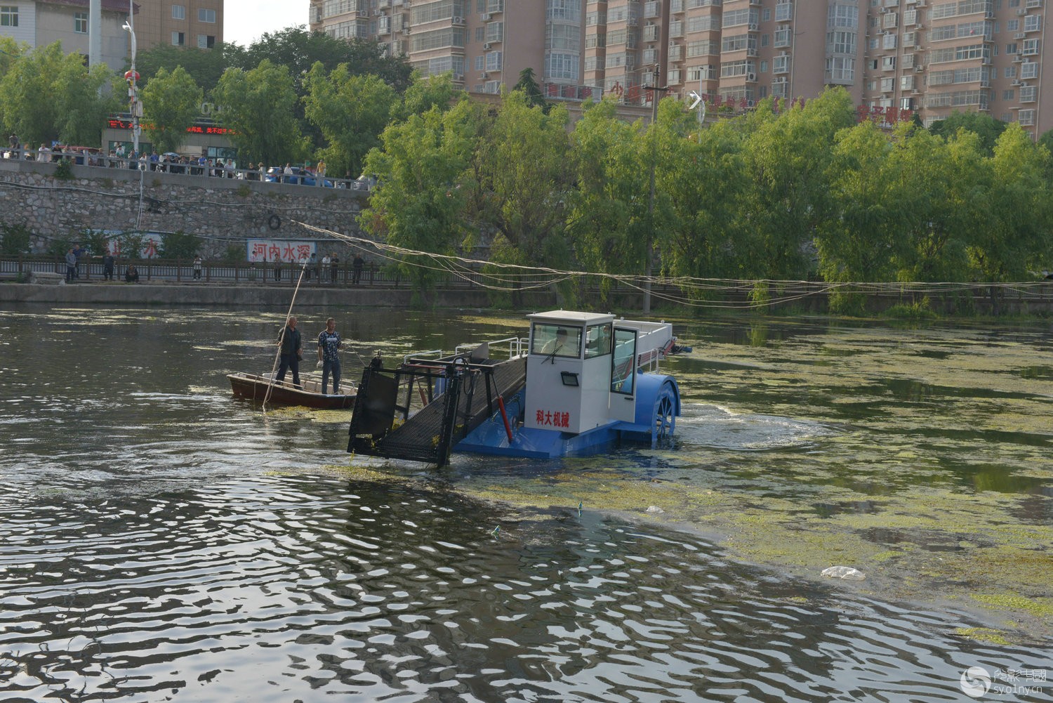 DSC_5672_.jpg