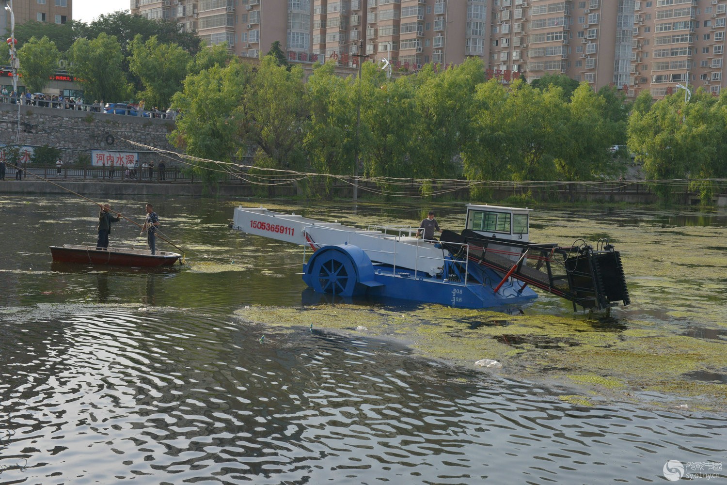 DSC_5675_.jpg