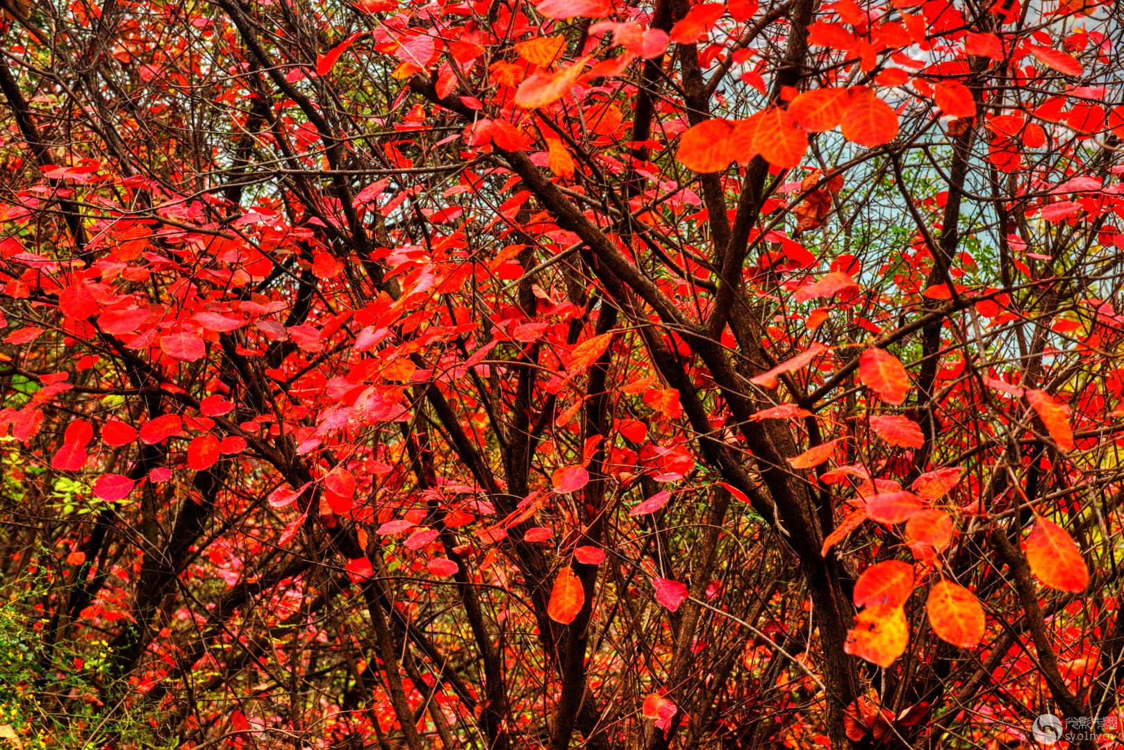 _DSC8660_126_.jpg