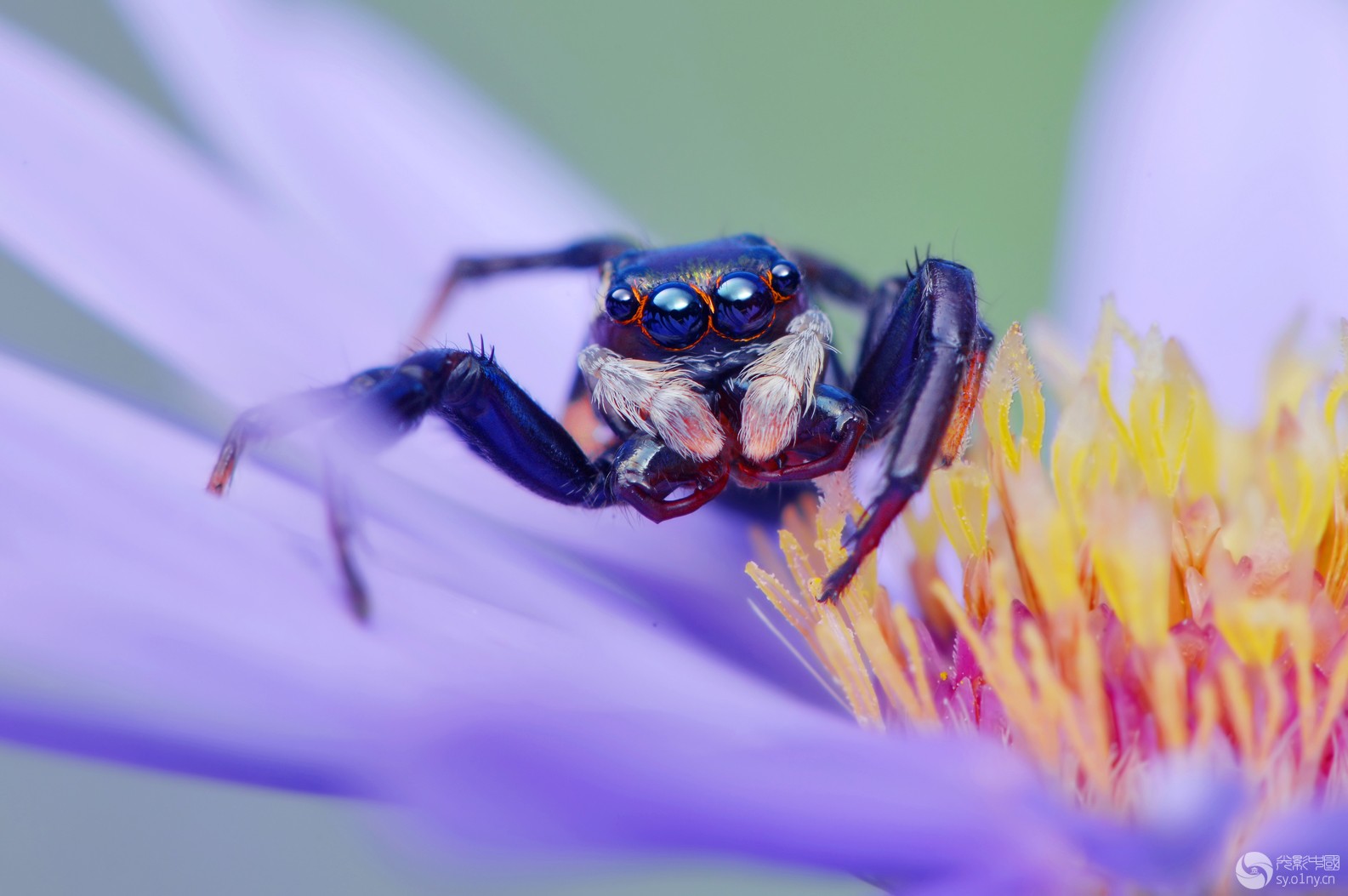 DSC_4194 .jpg