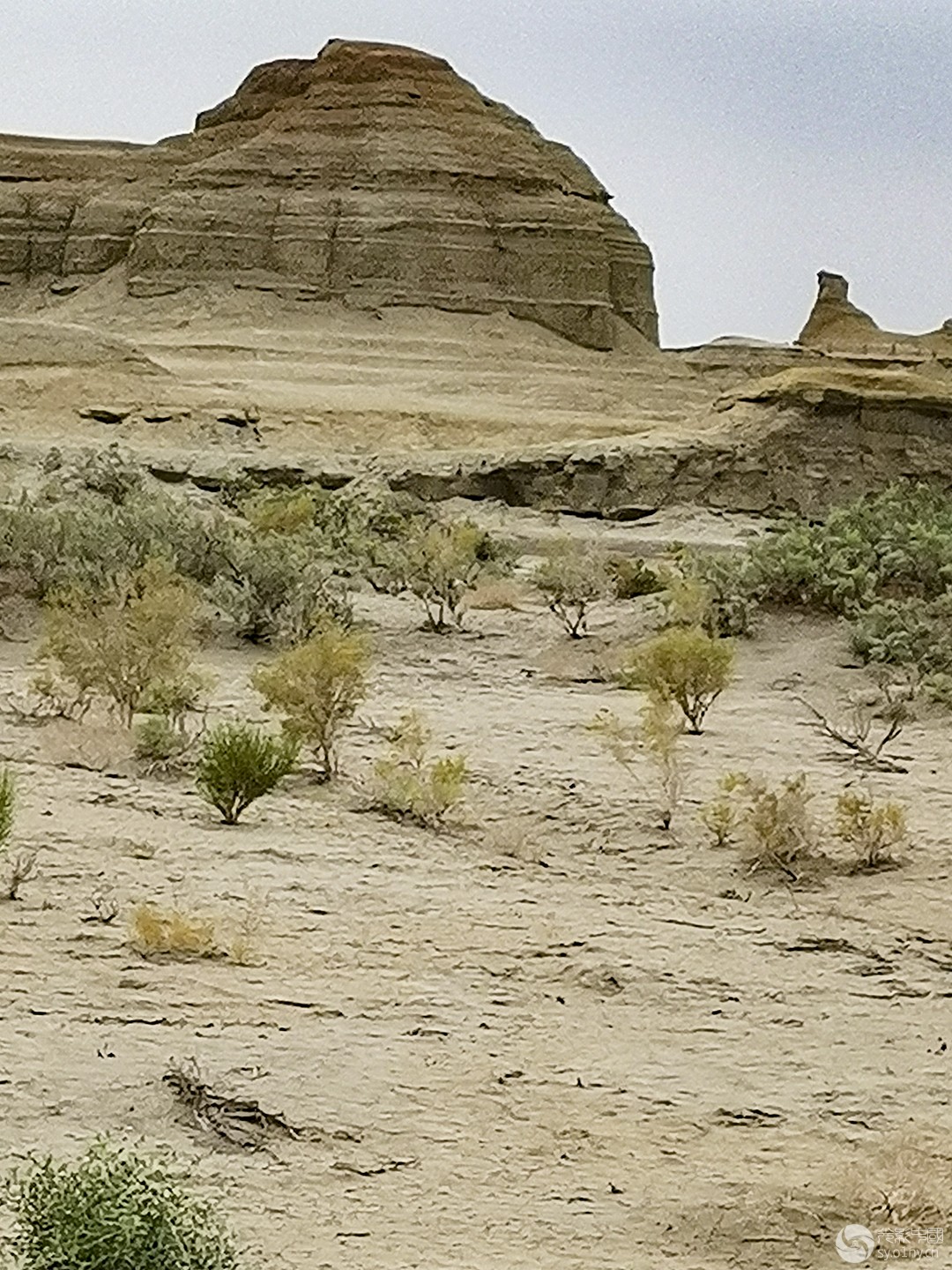 IMG_20230720_155559.jpg