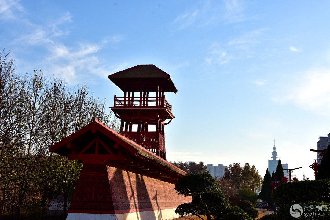 DSC_8419_.jpg