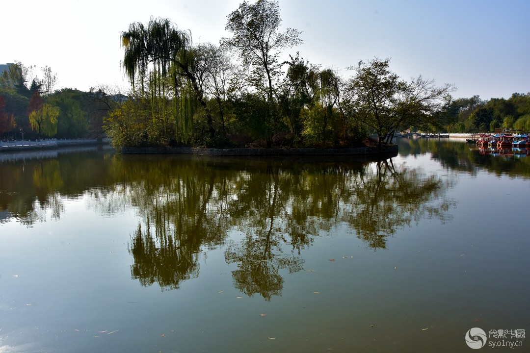 DSC_8237_.jpg