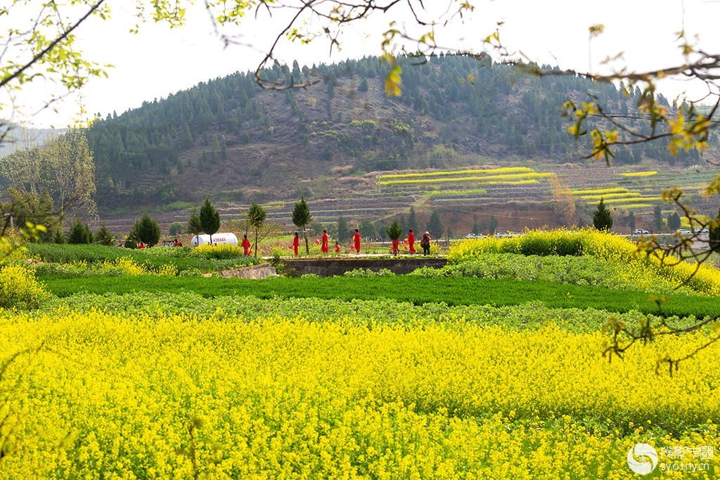 6.��������Ͳ˻����� �����գ���-1.jpg