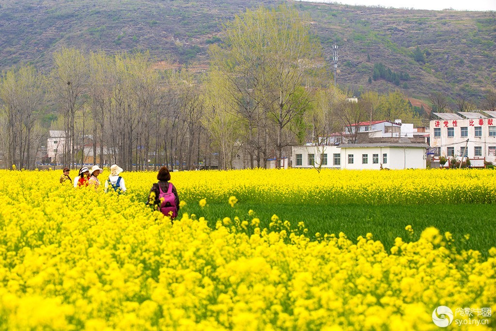 6.��������Ͳ˻����� �����գ���-4.jpg