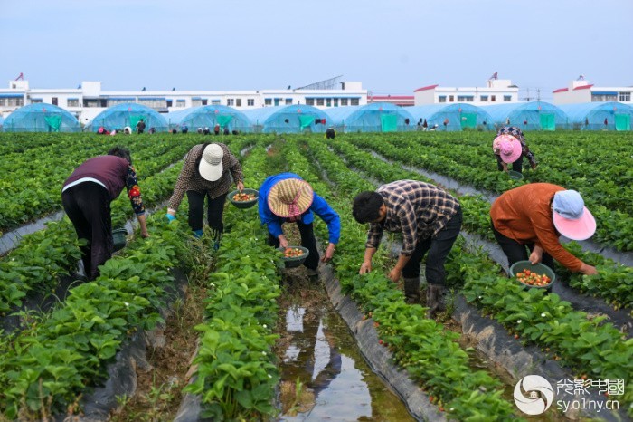 611.�����Ҹ���ׯ�� ���ա�-3.jpg