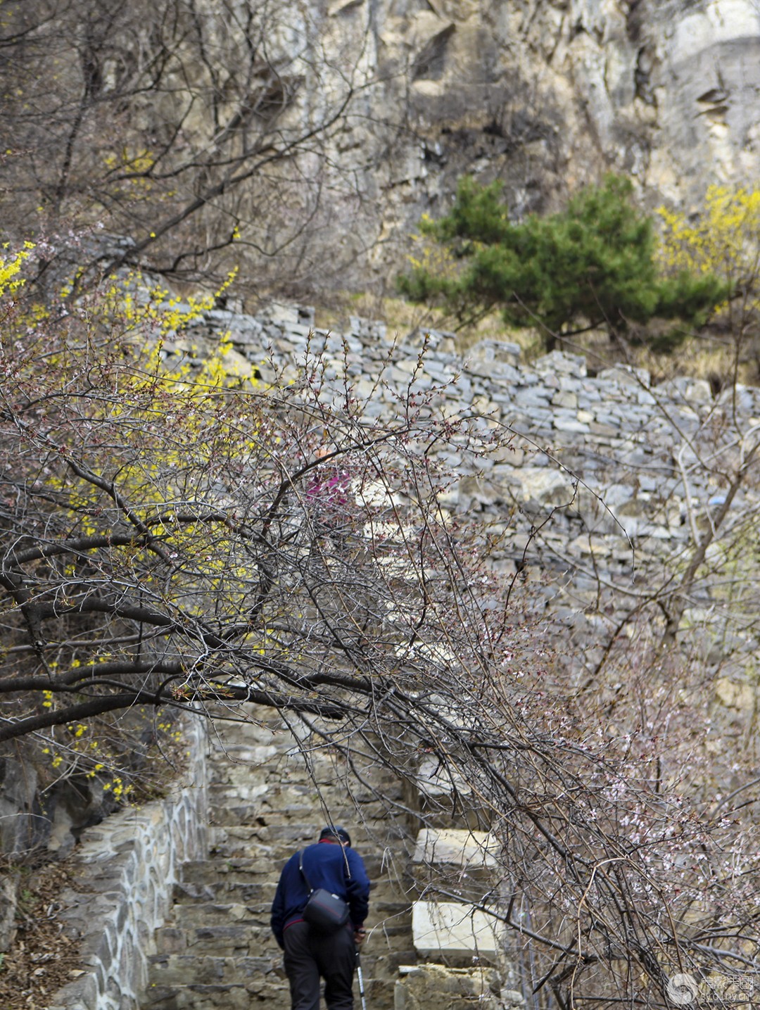 IMG_8777.jpg