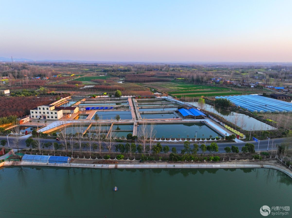 dji_fly_20250325_065228_0005_1742857278570_photo.jpg
