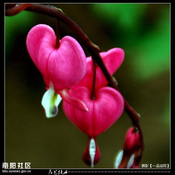 孔姓辈分下载,孔姓<em>女孩起名</em>,<em>孟姓</em>辈分