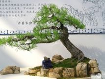 辰2