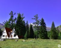 ����˹����Ȼ���