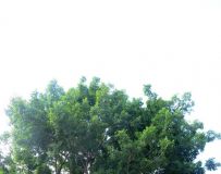̲֮28