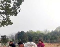 ֲ�̻��������� �������������ǡ��������Ⱥ�����԰��չ��������ֲ���