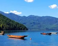 �̺�����