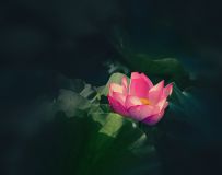 һ