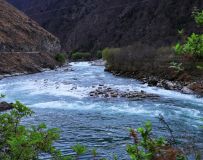 �����Ĵ�ɺ�