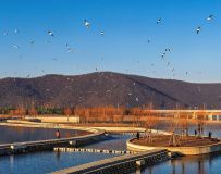 ��������һ��