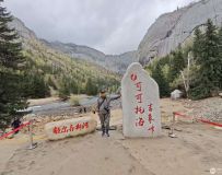 �����½�