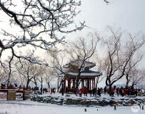 ֮