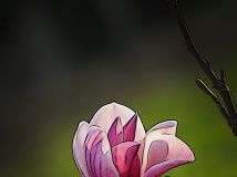 Ļ³