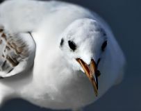 Ÿ