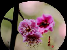 涷