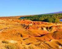 �½������˹�����̲