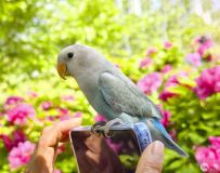 С����ĵ��