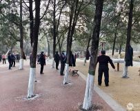 С��������8��