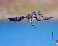 ۵糸 ---- ףÿͼƬѡ