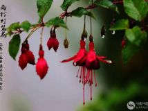 ֮