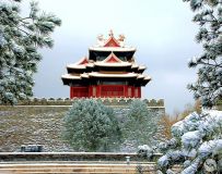 ѩ续