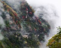 ֮